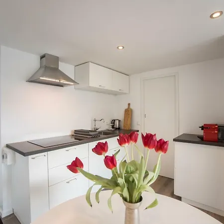 New Point * Zandvoort