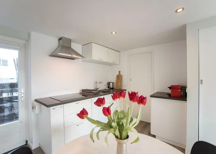 New Point * 赞德沃特