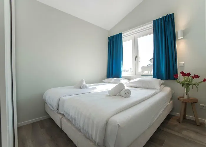 New Point زاندفورت